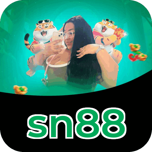 Resumo visual de bônus e campanhas sn88